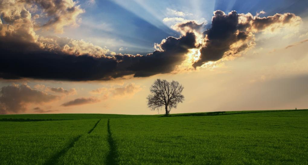 landschaft