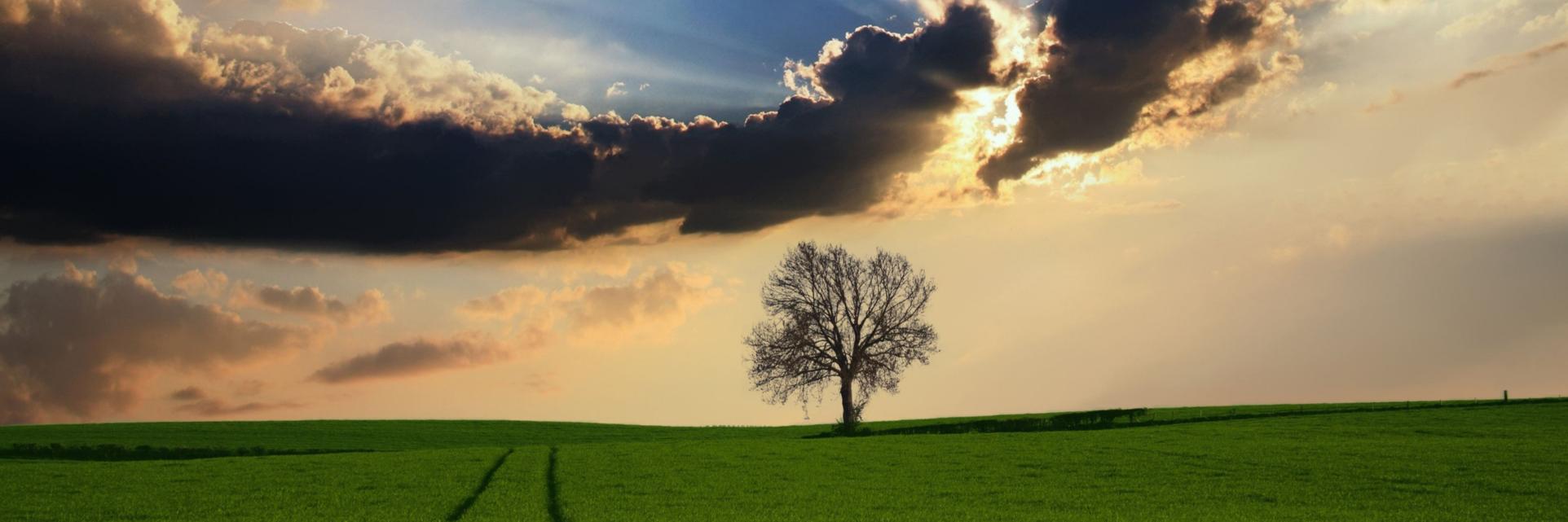 landschaft